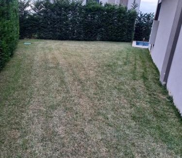 Kumburgaz Apartment | Villa with private pool for daily rent in Istanbul