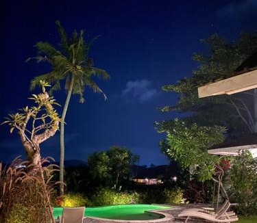 Bangunjiwo Villa | Villa With Stunning Paddy Field Views - Kasongan Yogyakarta