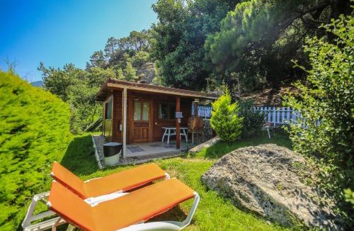 Cirali Hotel | Villa Zeytin