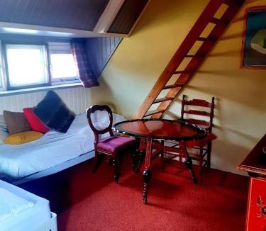 Velsen-Zuid Bed & Breakfast | Villa Zomerdijk