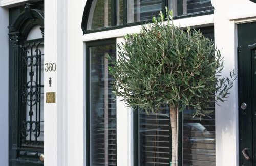 Jordaan House | Villa360