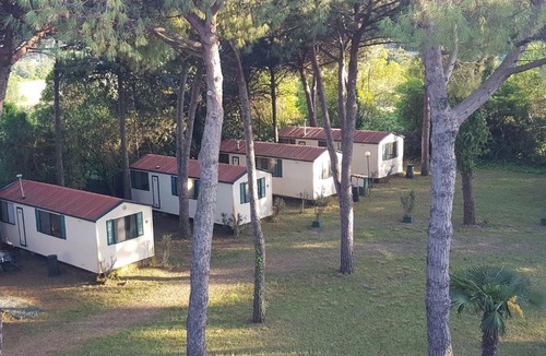 Misano Adriatico Resort | Villaggio Mithos