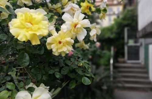Gioia House | Villamelchiorre 1