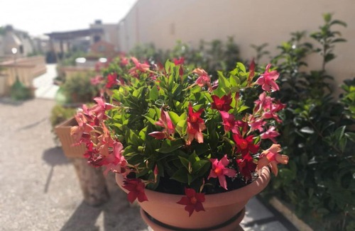 Il Monte House | Villarosi