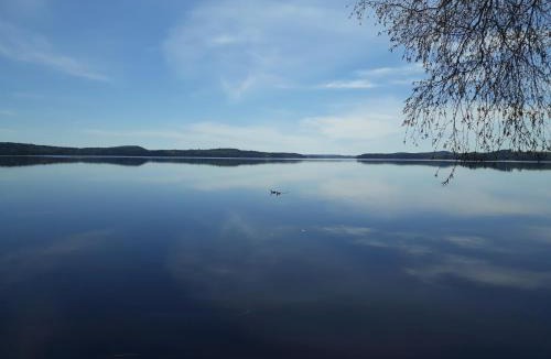 Kuorevesi Villa | VillaTorppa