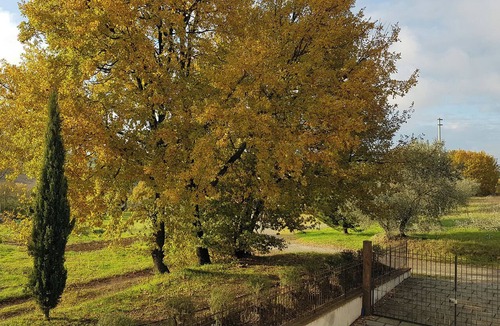 Ferretto Villa | Villino Cortona - Holiday home with private pool, wifi, a/c - Tuscany