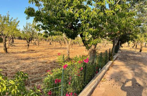 Putignano Villa | Villino Panorama