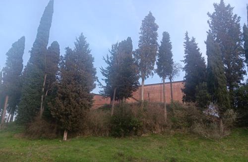 Castelfiorentino Apartment | Villinolapieve