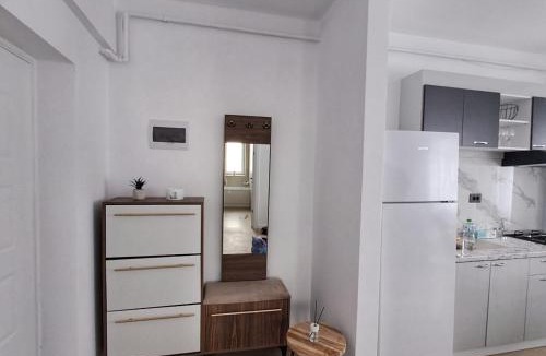 Focsani Apartment | Vily Apartment