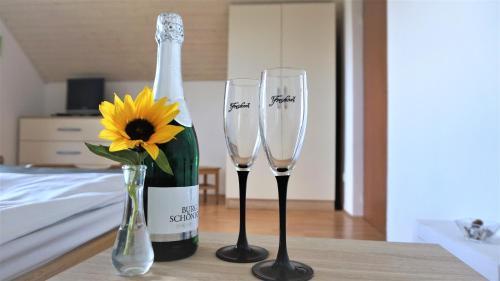 Semic House | Vineyard Cottage Zajc