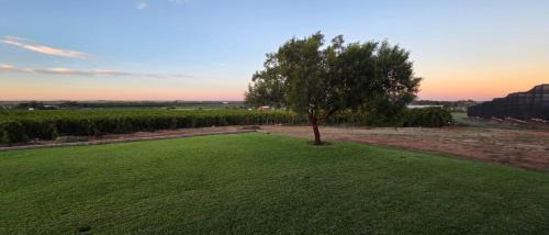 Strampriet House | Vineyard Views