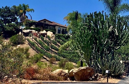 Escondido Villa | Vineyard Villa with 360-Degree Mtn Views, Private Saltwater Pool & Hot Tub