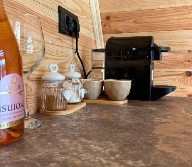 Hangu Ski Chalet | Vis de Munte Chalet