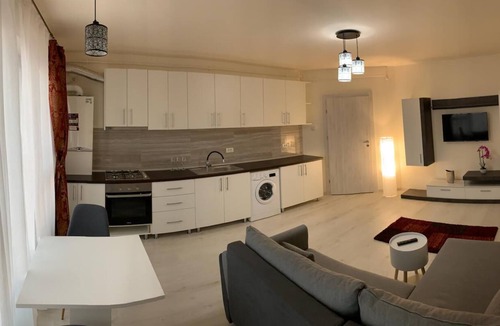 Timisoara Apartment | Visaj Residence rental