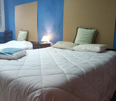 Castelo Branco Apartment | ViSIT CASTELO BRANCO