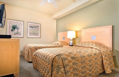 Seaside Gilbert District Resort | Visit the delightful Seaside aquarium!