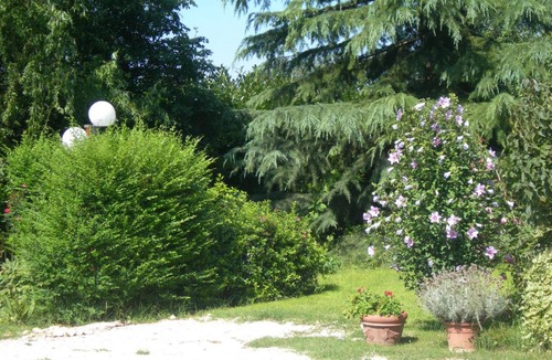 Santa Maria degli Angeli Bed & Breakfast | Vista Assisi