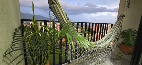 Ibague Apartment | VistaVive!