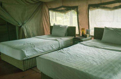 Traeng Trayueng Resort | vKirirom Pine Resort