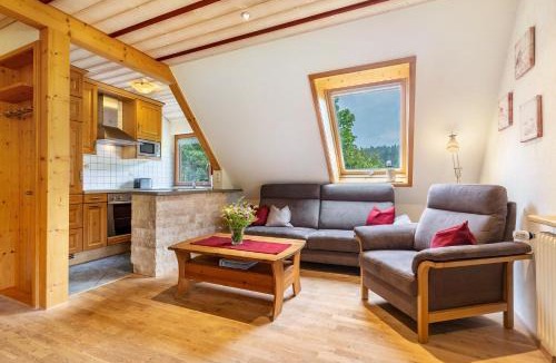 Wolfach - Saint Roman Apartment | Vogelnest