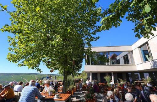 Volkach Hotel | Vogelsburg