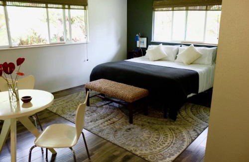 Volcano House | Volcano One - Modern Studio with Lanai near Volcano National Park