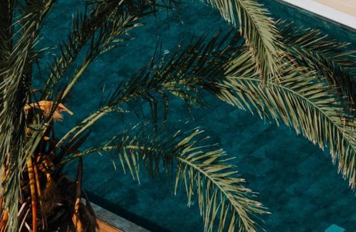 Kissonerga Apartment | Vrachia Beach Hotel & Suites - Adults Only