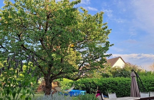 Grafschaft Apartment | Vrbo Property