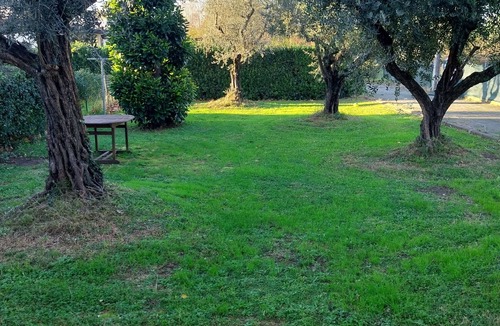 Cinquale Apartment | Vrbo Property