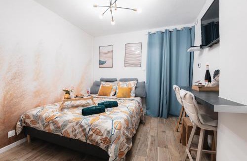 Selestat Apartment | Vue Exceptionnelle sur les toits Alsace