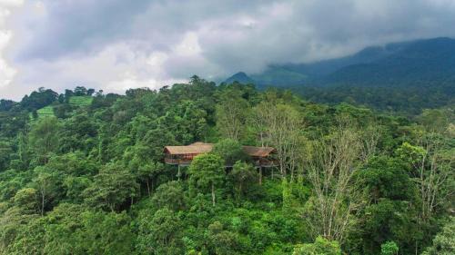 Kunnathidavaka Resort | Vythiri Mist Resort