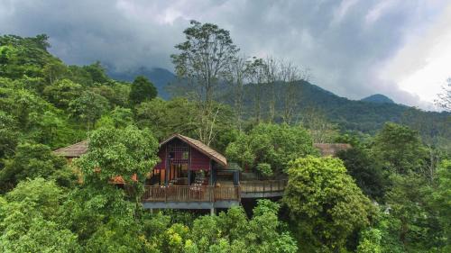 Kunnathidavaka Resort | Vythiri Mist Resort