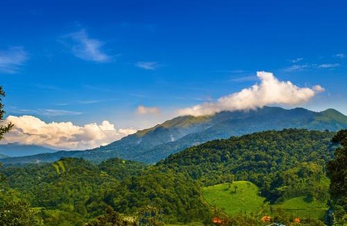 Vythiri Resort | Vythiri Silver Mist Hilltop Villa By VOYE HOMES
