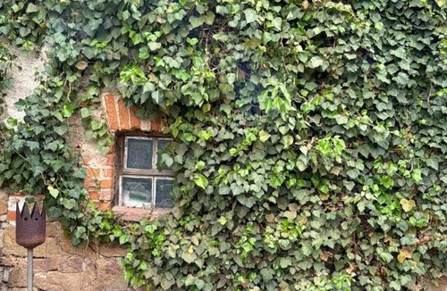 Großweitzschen House | Wünsch Dir was