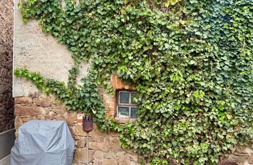 Großweitzschen House | Wünsch Dir was