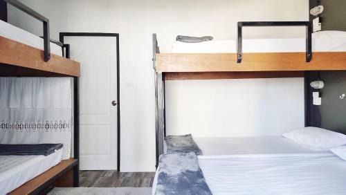 Talat Yai Hostel | W168 hostel