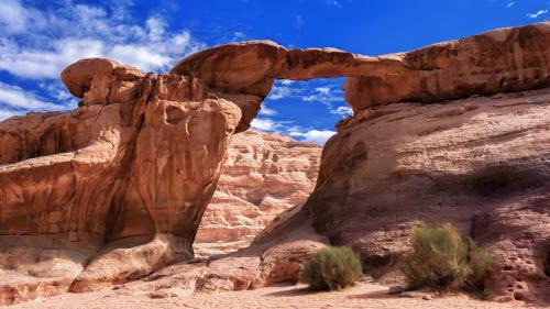 Wadi Rum Bed & Breakfast | wadi rum tha moon