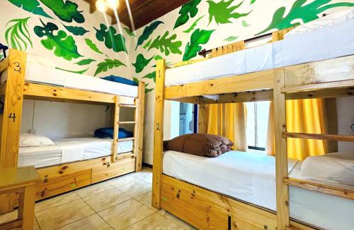 Miraflores Hostel | Waikiki Hostel