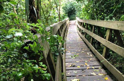 Wainui Cabin | Wainui Park Camp