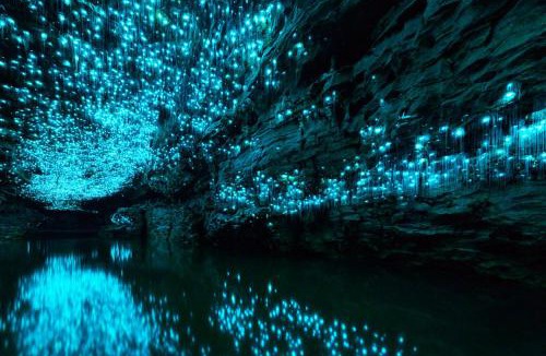 Waitomo Caves House | Waitomo Golf Ridge