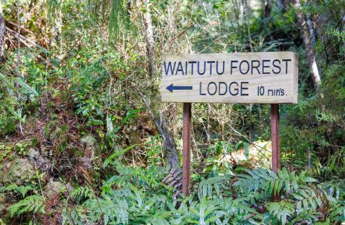 Southland Hostel | Waitutu Forest Lodge