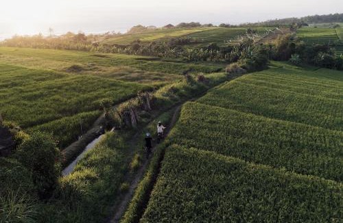 Tabanan Resort | WakaGangga
