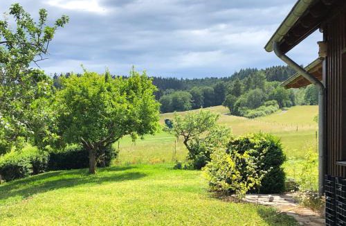 Kelberg Apartment | Waldhaus-Vulkaneifel