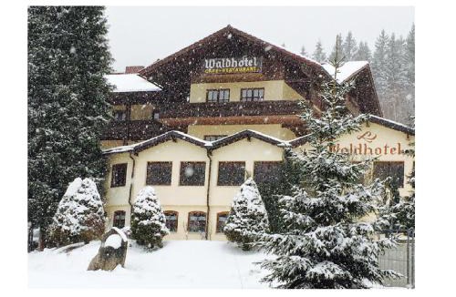Regenhutte Hotel | Waldhotel Seebachschleife