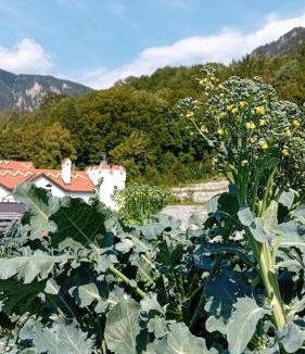 Reichenau an der Rax Apartment | Waldschlössl Schneedörfl