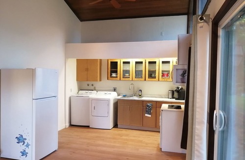 Shoreline Apartment | Walk to Light Rail - Spacious Suite w/Private Entry & AC