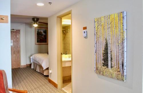 Mount Crested Butte House | Walk to Mountain Base Studio for 4 & POOL