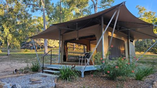 Upper Dawson Other | Wallaroo Outback Retreat - Glamping Tents Carnarvon Gorge