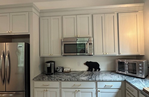 Batesville Cottage | Wandering Bear’s Cottage Near Crozet & Charlottesville, 2 bedroom