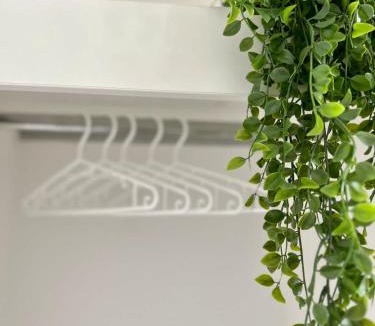 Kurenz Apartment | Wanderlust Petrisberg - Studio 53